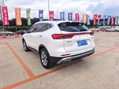 2021 Haval H6 1.5T AT Champion, белый — фото 9