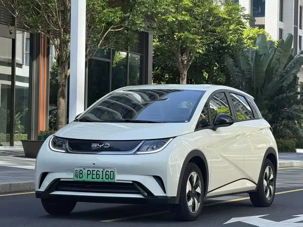 2024 BYD Dolphin Glory 420km Freedom