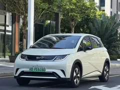 2024 BYD Dolphin Glory 420km Freedom, белый — фото 1