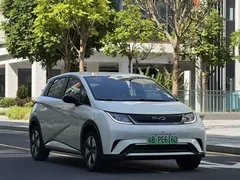 2024 BYD Dolphin Glory 420km Freedom, белый — фото 5