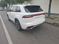 2021 Geely Monjaro 2.0TD DCT 2WD EVO Premium, белый — фото 9