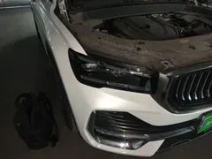 2021 Geely Monjaro 2.0TD High Power AT 4WD Premium, белый — фото 7