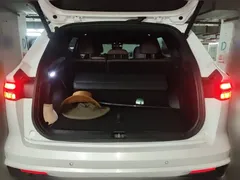 2021 Geely Monjaro 2.0TD High Power AT 4WD Premium, белый — фото 20