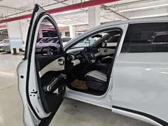 2022 BYD Yuan PLUS 510km Premium, белый — фото 13