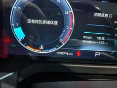 2021 Tank 300 Off-road 2.0T Conqueror — фото 11