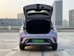 2024 BYD Dolphin Honor 420km Fashion — фото 8