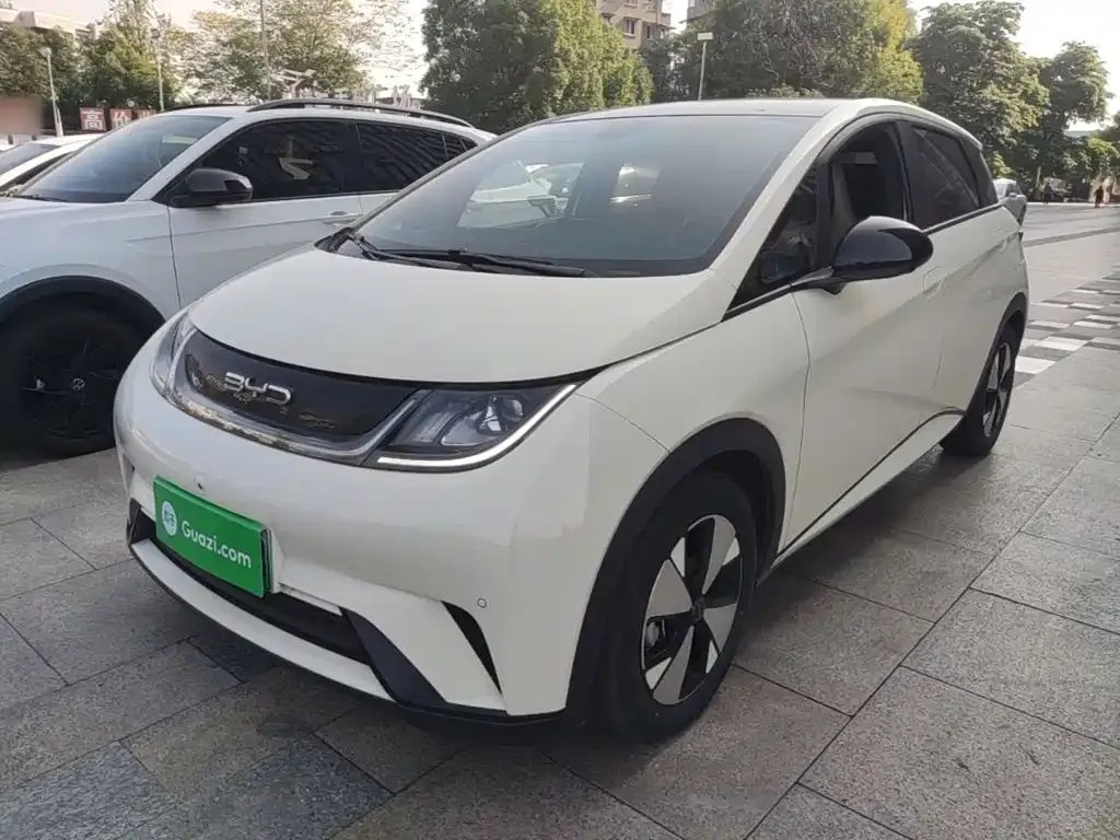 2023 BYD Dolphin 420km Fashion