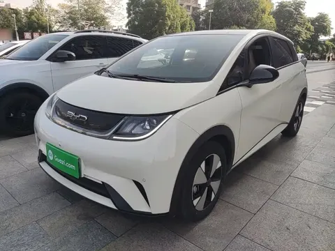 2023 BYD Dolphin 420km Fashion