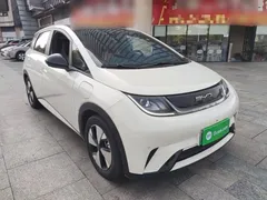 2023 BYD Dolphin 420km Fashion — фото 4