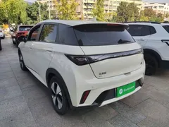 2023 BYD Dolphin 420km Fashion — фото 5