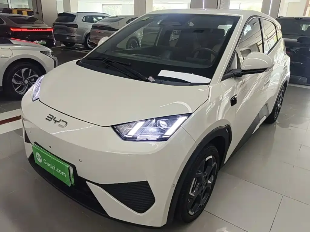2025 BYD Seagull Smart Driving 305km Freedom