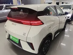2025 BYD Seagull Smart Driving 305km Freedom, белый — фото 7