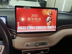 2025 BYD Seagull Smart Driving 305km Freedom, белый — фото 13