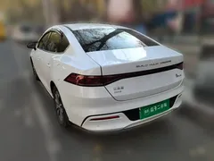 2023 BYD Qin PLUS Champion DM-i PHEV 55KM Leading, белый — фото 4