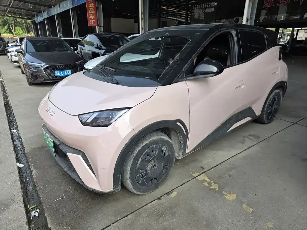2024 BYD Seagull Honor 305km Vitality