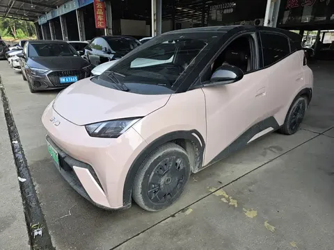 2024 BYD Seagull Honor 305km Vitality