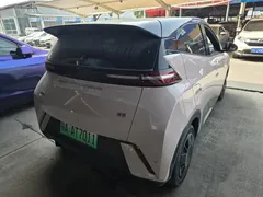 2024 BYD Seagull Honor 305km Vitality — фото 15