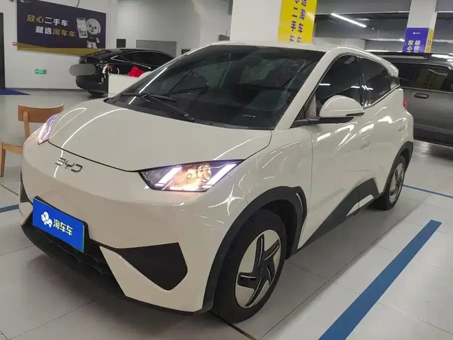 2025 BYD Seagull 305km Vitality