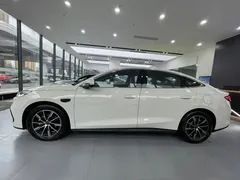 2025 BYD Seal 06 DM-i PHEV 120KM Smart Driving Premium, белый — фото 4