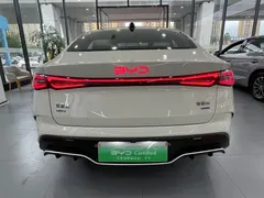 2025 BYD Seal 06 DM-i PHEV 120KM Smart Driving Premium, белый — фото 13