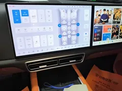 2025 Li Auto L9 Smart Refresh — фото 13