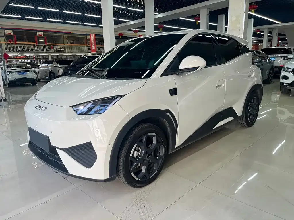 2025 BYD Seagull Smart Driving 305km Freedom