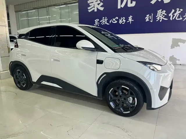 2025 BYD Seagull Smart Driving 305km Freedom
