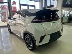 2025 BYD Seagull Smart Driving 305km Freedom, белый — фото 5