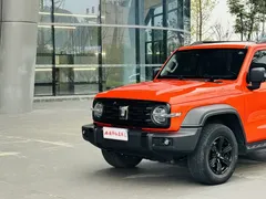 2023 Tank 300 Off-road 2.0T Conqueror — фото 6
