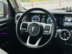 2023 Tank 300 Off-road 2.0T Conqueror — фото 19