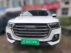 2021 Haval H6 1.5T AT Guochao Urban, белый — фото 23