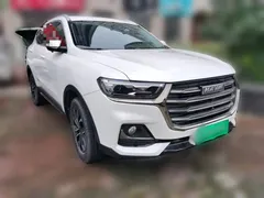 2021 Haval H6 1.5T AT Guochao Urban, белый — фото 24