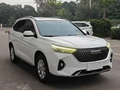 2021 Haval M6 Plus 1.5T DCT Luxury, белый — фото 3