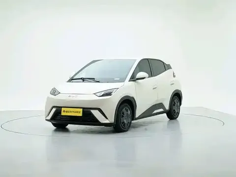 2024 BYD Seagull Honor 305km Vitality
