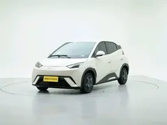 2024 BYD Seagull Honor 305km Vitality — фото 1