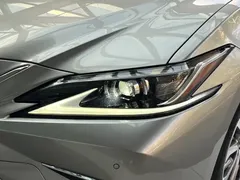 2022 Lexus ES 200 Excellence — фото 20