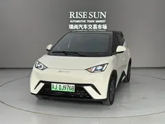 2025 BYD Seagull EV 405km Flying, белый — фото 1