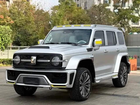 2021 Tank 300 2.0T Monet Limited Edition
