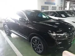 2021 Haval H6 1.5T AT Guochao Urban, чёрный — фото 4