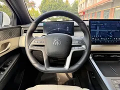 2025 BYD Qin PLUS EV Smart Driving 420km Leading, белый — фото 11