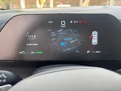2026 BYD Yuan PLUS EV 540km Exceed — фото 9
