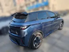 2025 BYD Dolphin 420km Freedom — фото 6