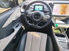 2025 BYD Dolphin 420km Freedom — фото 11