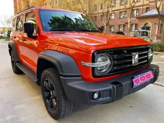 2021 Tank 300 Off-road 2.0T Conqueror — фото 1