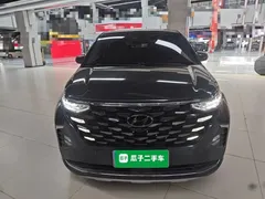 2021 Hyundai Custo 380TGDi LUX Premium, синий — фото 3