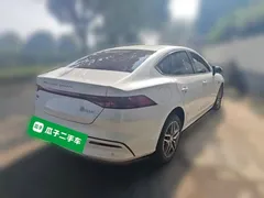 2021 BYD Qin PLUS DM-i 120KM Flagship, белый — фото 4