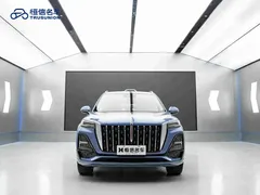 2023 Hongqi HS5 2.0T 4WD Pro, синий — фото 2