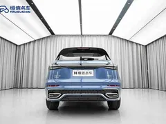 2023 Hongqi HS5 2.0T 4WD Pro, синий — фото 6