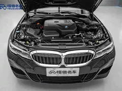2021 BMW 3 Series 325Li M Sport Package, чёрный — фото 21