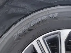 2020 Nissan Terra 2.5L XL Upper 4WD AT Luxury, белый — фото 24